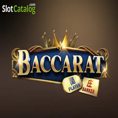 ব্যাকারেট C08 7555bet apk লগইন